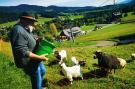 FerienhausÖsterreich - : Ferienpark Gaal - Alpenland