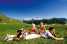 Holiday homeAustria - : Venediger  [21] 