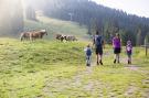 FerienhausÖsterreich - : Edelweißanger