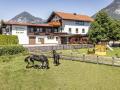 Holiday homeAustria - : Wohnung Wald