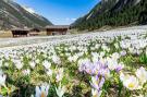 FerienhausÖsterreich - : Doppelhaus Hochkrimml 182A