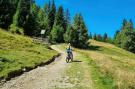 FerienhausÖsterreich - : Schneiderhütte