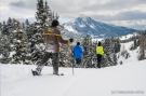 FerienhausÖsterreich - : Naturchalets Turracher Höhe 1