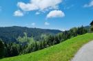 Holiday homeAustria - : Apartment Bergblick