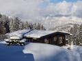 Holiday homeAustria - : 142665