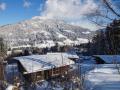 Holiday homeAustria - : 142665