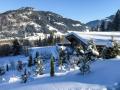 Holiday homeAustria - : 142665