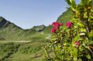 FerienhausÖsterreich - : Schönblick 2