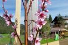 Holiday homeAustria - : Haus Rathgeb