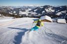 VakantiehuisOostenrijk - : Apartment Berghof Ski-in &amp; Ski-out