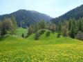 Holiday homeAustria - : 481623