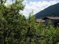 Holiday homeAustria - : 345975