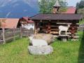 Holiday homeAustria - : 466929