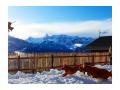 Holiday homeAustria - : 61308