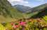 Holiday homeAustria - : Rocking home - Chalet / SO-SO  [16] 