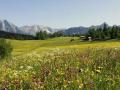 Holiday homeAustria - : 84803