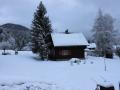 Holiday homeAustria - : 132715