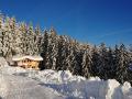 Holiday homeAustria - : 41020