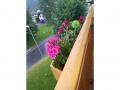 Holiday homeAustria - : 112495