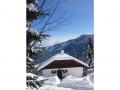 Holiday homeAustria - : 187054