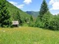 Holiday homeAustria - : 187054