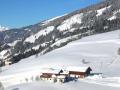 Holiday homeAustria - : 68843