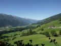 Holiday homeAustria - : 68843