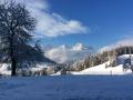 Holiday homeAustria - : 134765