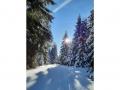 Holiday homeAustria - : 276399