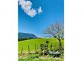 Holiday homeAustria - : 340903