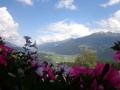 Holiday homeAustria - : 219608