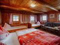 Holiday homeAustria - : 219608