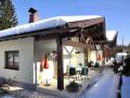 Holiday homeAustria - : 17347