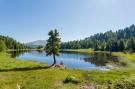 FerienhausÖsterreich - : Alpenpark Turrach 35