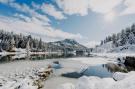 FerienhausÖsterreich - : Alpenpark Turrach 35