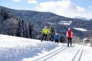 FerienhausÖsterreich - : Alpenpark Turrach 36