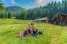 Holiday homeAustria - : Alpenpark Turrach 36  [20] 