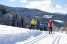 Holiday homeAustria - : Alpenpark Turrach 36  [36] 