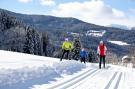 FerienhausÖsterreich - : Alpenpark Turrach 42