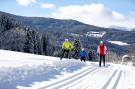 FerienhausÖsterreich - : Alpenpark Turrach 47