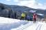 Holiday homeAustria - : Alpenpark Turrach 49  [33] 