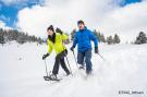 Holiday homeAustria - : Alpenpark Turrach App 13