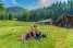 Holiday homeAustria - : Alpenpark Turrach App 13  [18] 