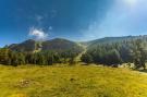 FerienhausÖsterreich - : Alpenpark Turrach 4