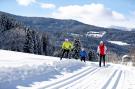 VakantiehuisOostenrijk - : Alpenpark Turrach 9