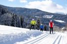 FerienhausÖsterreich - : Alpenpark Turrach 20