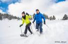 FerienhausÖsterreich - : Alpenpark Turrach 27