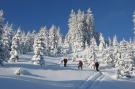 FerienhausÖsterreich - : Erzberg Alpin Resort 18