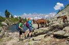 FerienhausÖsterreich - : Alpenrock Schladming 5