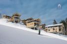 Holiday homeAustria - : Alpenchalets Reiteralm 4